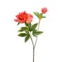 Peony sarah spray coral 73cm