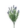 Lavender bush purple 45cm