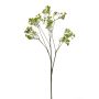 Gypsophila spray green 68cm