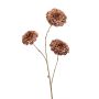 Zinnia spray brown/bronze 80cm