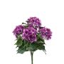 Hydrangea bush fuchsia 38cm
