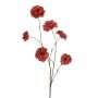 Ranunculus spray red 110cm