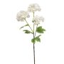 Viburnum spray white 60cm