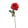Rose pascal spray red 65cm