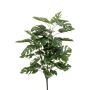 Monstera bush x3 70cm