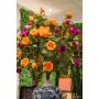 Rose london branch x3 orange 110cm