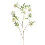 Scabiosa spray white 113cm
