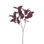 Eucalyptus spray w pods burgundy 80cm