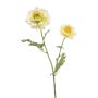 Ranunculus japanese spray green 65cm