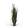 River grass 90cm