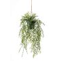 Bamboo hanging in pot 65cm