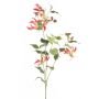 Gloriosa spray fuchsia 120cm