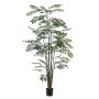 Palm bamboo 245cm (knock down packing)