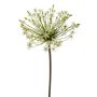Allium spray white 90cm
