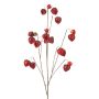 Physalis spray x10 burgundy 110cm
