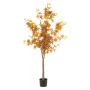 Maple tree green/burgundy in pot 170cm (knock down packing)